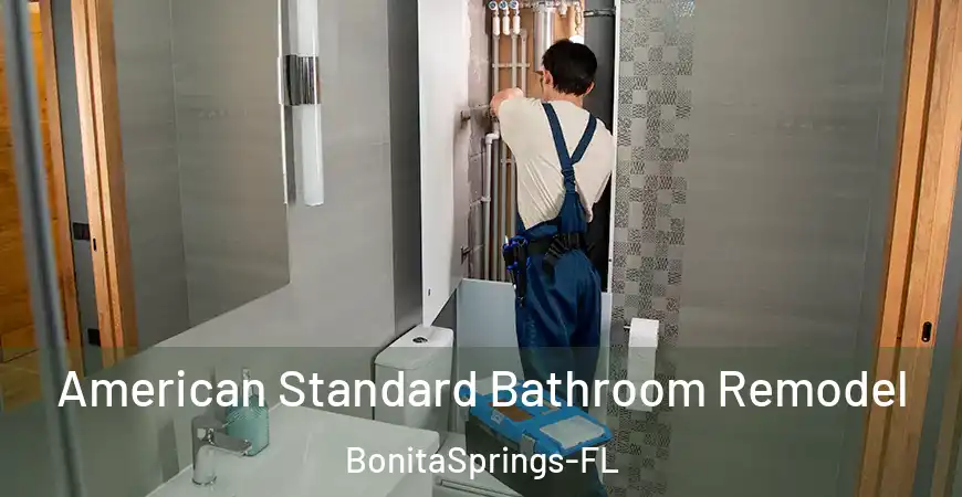 inner Bathroom imggen American Standard Bathroom Remodel BonitaSprings-FL