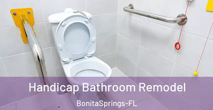 inner Bathroom imggen Handicap Bathroom Remodel BonitaSprings-FL