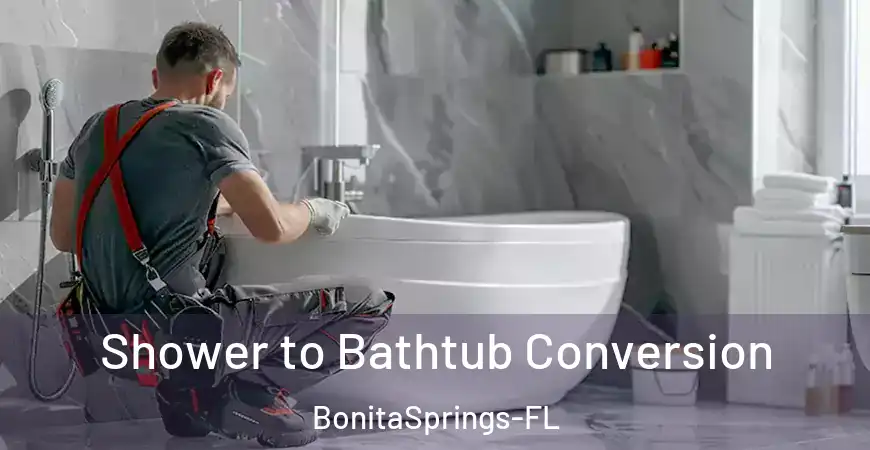 inner Bathroom imggen Shower to Bathtub Conversion BonitaSprings-FL